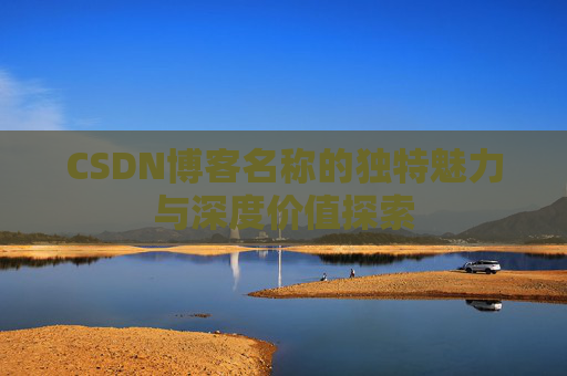 CSDN博客名称的独特魅力与深度价值探索